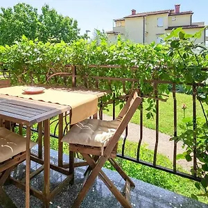 https://apartments-maria-novigrad.in-istria.net